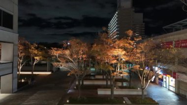 Japonya Tokyo Gece Manzarası