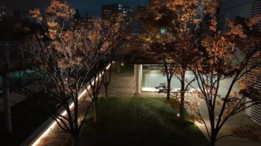 Japonya Tokyo Gece Manzarası