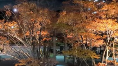 Japonya Tokyo Gece Manzarası