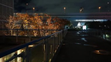 Japonya Tokyo Gece Manzarası