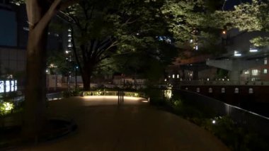 Japonya Tokyo Gece Manzarası