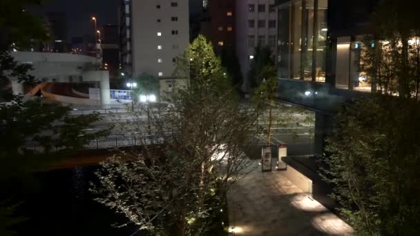 Japan Tokyo Night View Landscape — стокове відео