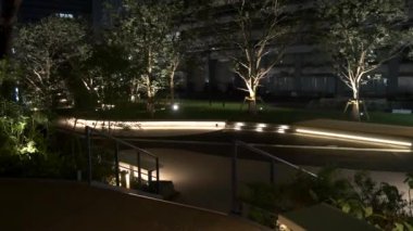 Japonya Tokyo Gece Manzarası