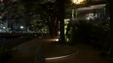 Japonya Tokyo Gece Manzarası