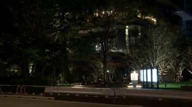 Japonya Tokyo Gece Manzarası
