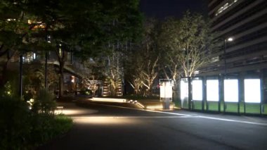 Japonya Tokyo Gece Manzarası