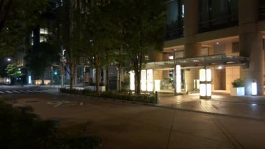 Japonya Tokyo Gece Manzarası