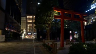Japonya Tokyo Gece Manzarası