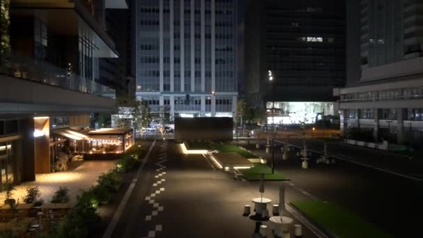 Ιαπωνία Τόκιο Night View Τοπίο — Αρχείο Βίντεο