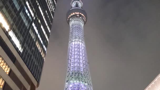 Japão Tóquio Vista Noturna Paisagem — Vídeo de Stock