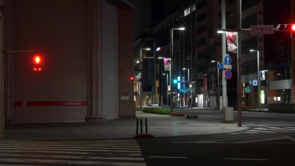 Giappone Tokyo Vista Notturna Paesaggio — Video Stock