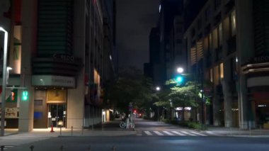 Japonya Tokyo Gece Manzarası