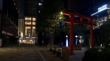 Japonya Tokyo Gece Manzarası
