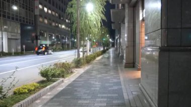 Japonya Tokyo Gece Manzarası