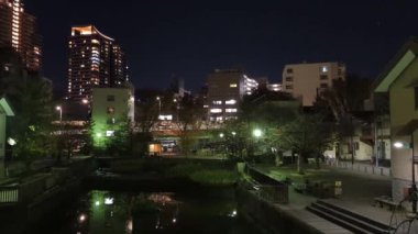Japonya Tokyo Gece Manzarası