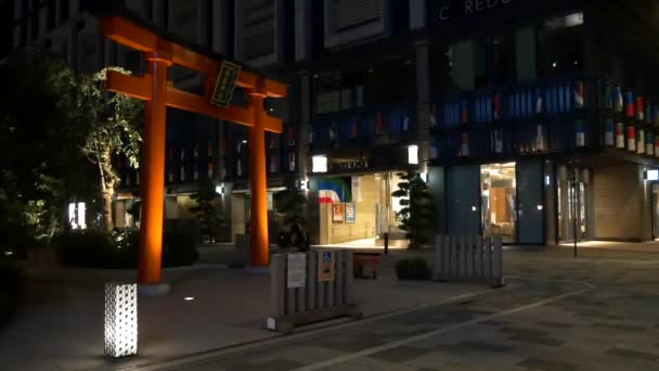 Japonsko Tokyo Noční Pohled Krajina — Stock video