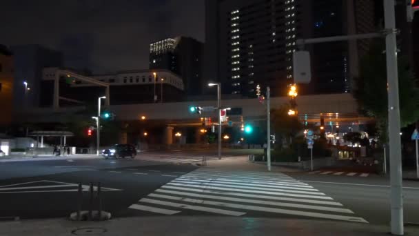 Giappone Tokyo Vista Notturna Paesaggio — Video Stock