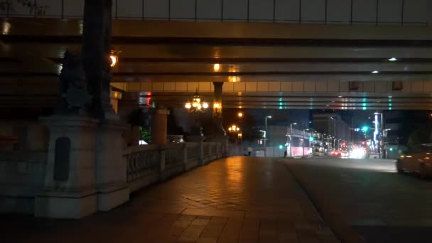 Japão Tóquio Vista Noturna Paisagem — Vídeo de Stock