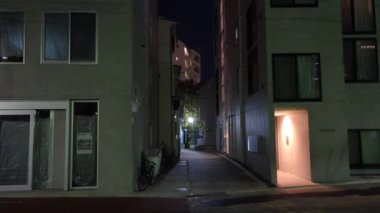 Japonya Tokyo Gece Manzarası