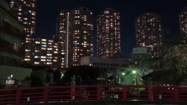 Japonya Tokyo Gece Manzarası