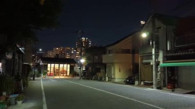 Japonya Tokyo Gece Manzarası