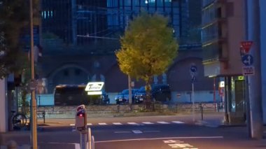 Japonya Tokyo Gece Manzarası