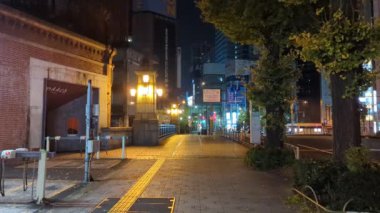 Japonya Tokyo Gece Manzarası