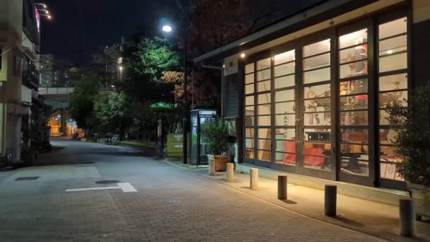 Японский Ночной Пейзаж — стоковое видео