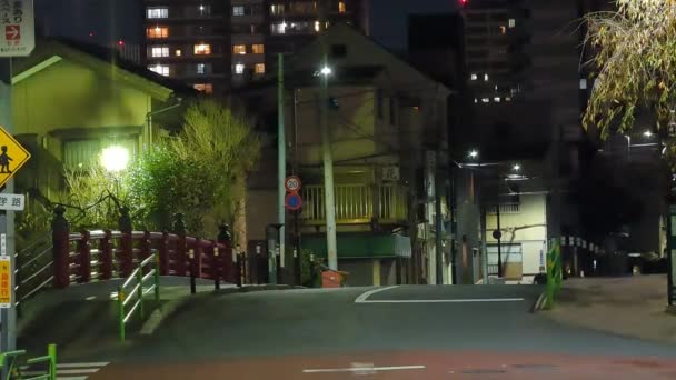 Japon Tokyo Vue Nuit Paysage — Video