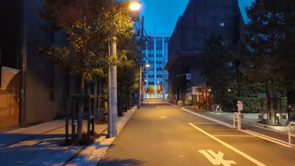 Japon Tokyo Vue Nuit Paysage — Video