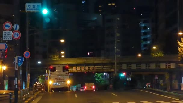 Japan Tokio Nachtzicht Landschap — Stockvideo