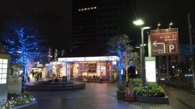 Japonya Tokyo Gece Manzarası