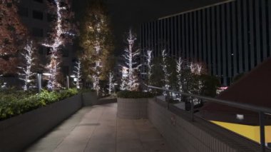 Japonya Tokyo Gece Manzarası