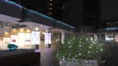 Japonya Tokyo Gece Manzarası