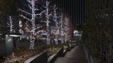 Japonya Tokyo Gece Manzarası