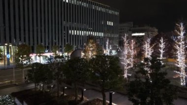 Japonya Tokyo Gece Manzarası