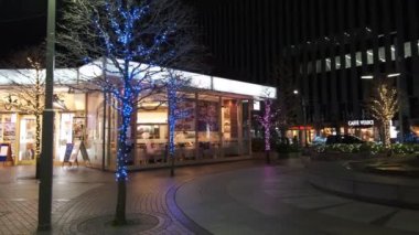 Japonya Tokyo Gece Manzarası