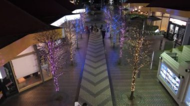 Japonya Tokyo Gece Manzarası