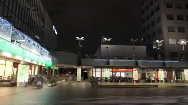 Japonya Tokyo Gece Manzarası