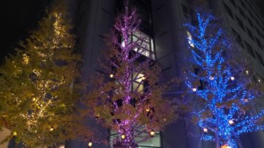 Japonya Tokyo Gece Manzarası