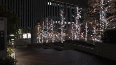 Japonya Tokyo Gece Manzarası