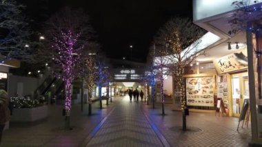 Japonya Tokyo Gece Manzarası