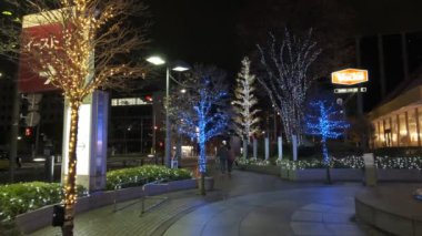 Japonya Tokyo Gece Manzarası