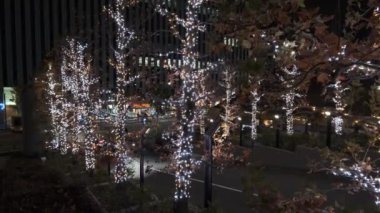 Japonya Tokyo Gece Manzarası