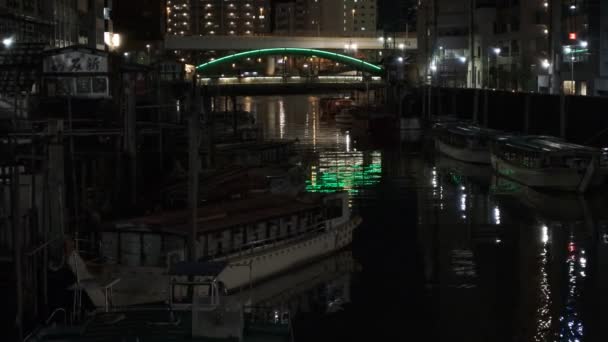 Japan Tokio Nachtzicht Landschap — Stockvideo