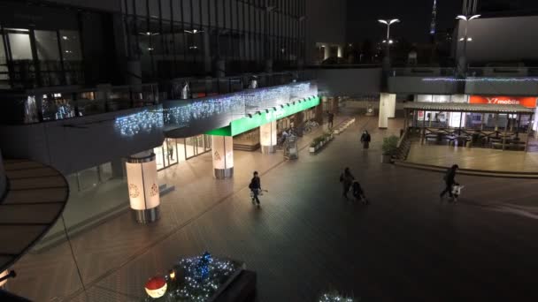 Japão Tóquio Vista Noturna Paisagem — Vídeo de Stock