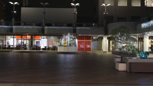 Japón Tokio Vista Nocturna Paisaje — Vídeos de Stock