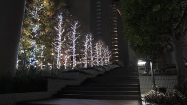 Japón Tokio Vista Nocturna Paisaje — Vídeos de Stock