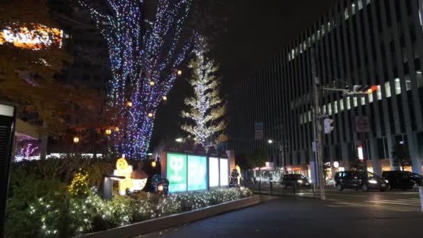 Japonya Tokyo Gece Manzarası — Stok video