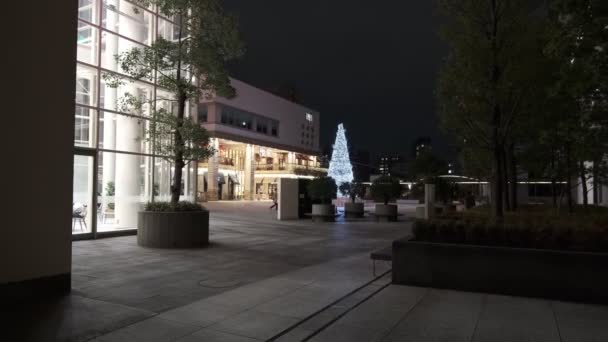 Japan Tokio Nacht Ansicht Landschaft — Stockvideo